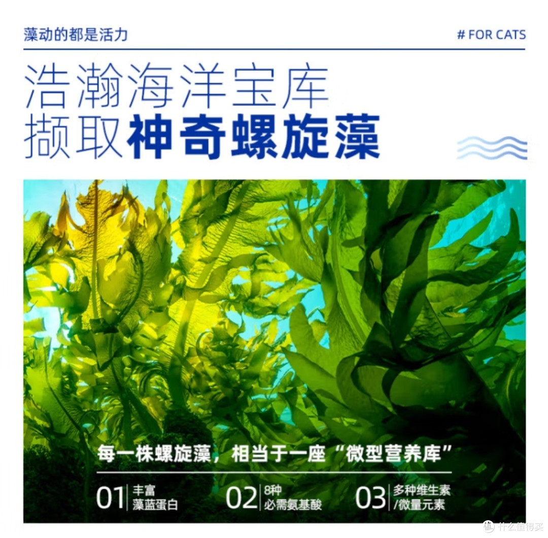狗狗挑食怎么办？选对狗粮是关键！
