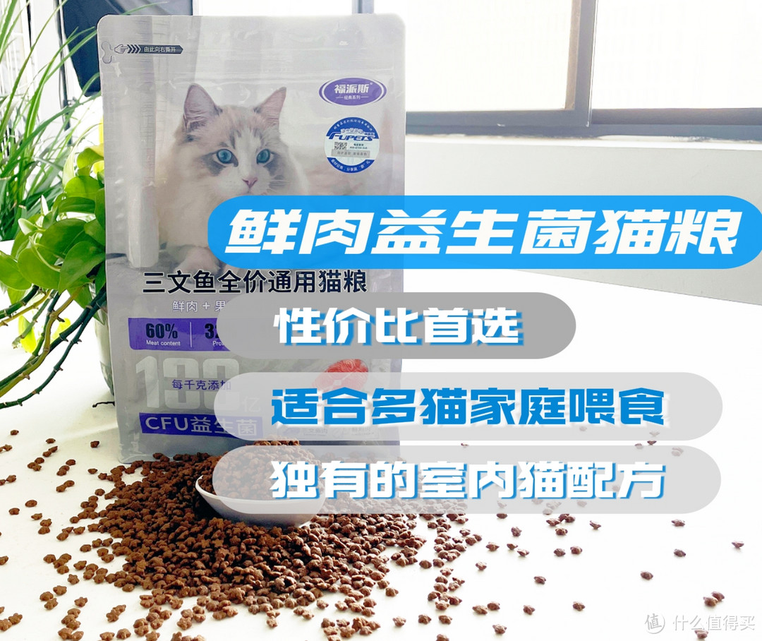 养短毛猫必看！这款猫粮竟让猫咪毛发亮泽！福派斯三文鱼益生菌猫粮推荐