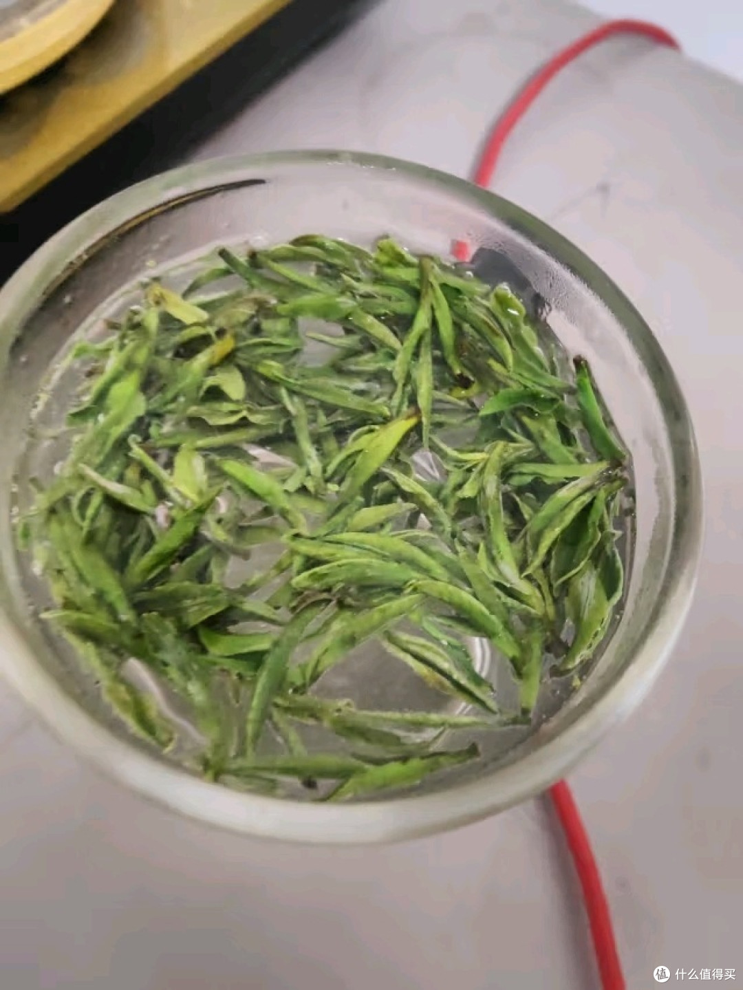 春天上班来一杯龙井,舒服