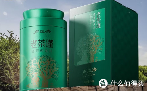 卢正浩 老茶蓬龙井茶特级