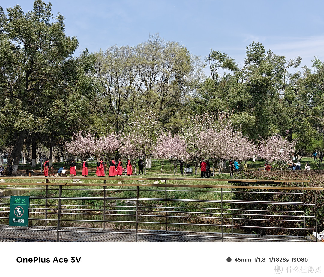 武汉最美樱花季，四天三晚的武大樱花摄影之旅！