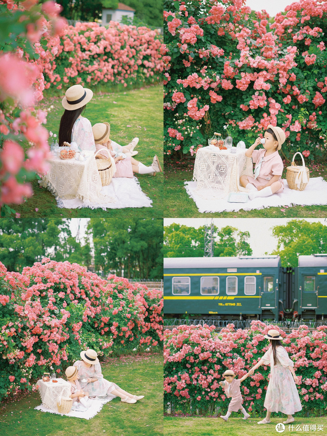 📷拍摄时间：5月12日 📍拍摄地址：嘉兴市嘉善县炮台口南铁路旁蔷薇花墙 等火车开过的时候，可以在蔷薇花墙边和火车合影哦～