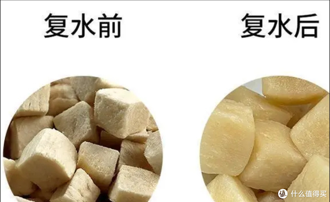 猫咪零食大揭秘：冻干小吃VS罐头猫条，哪个更健康？