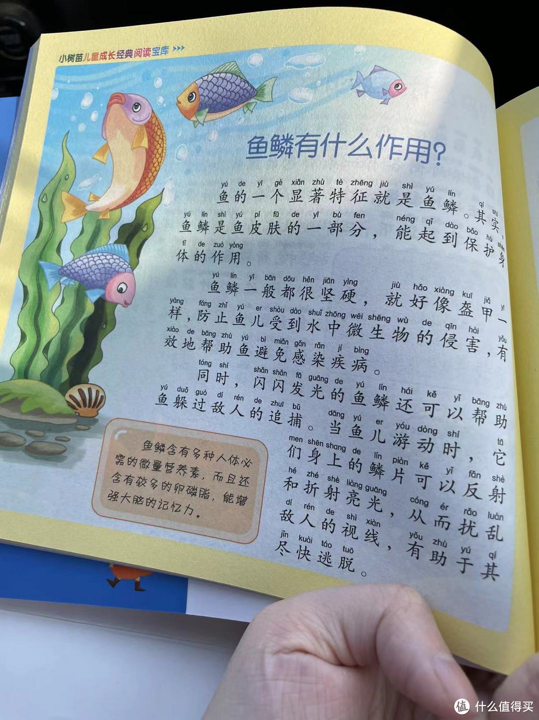 十万个为什么之鱼鳞有什么作用?