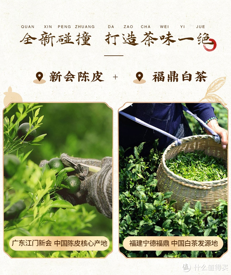 美妙的茶饮之旅