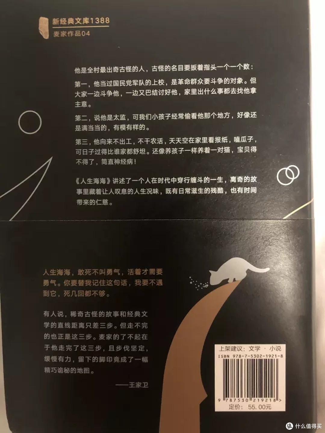 《人生海海》：深邃之旅，探寻人性与勇气的真谛