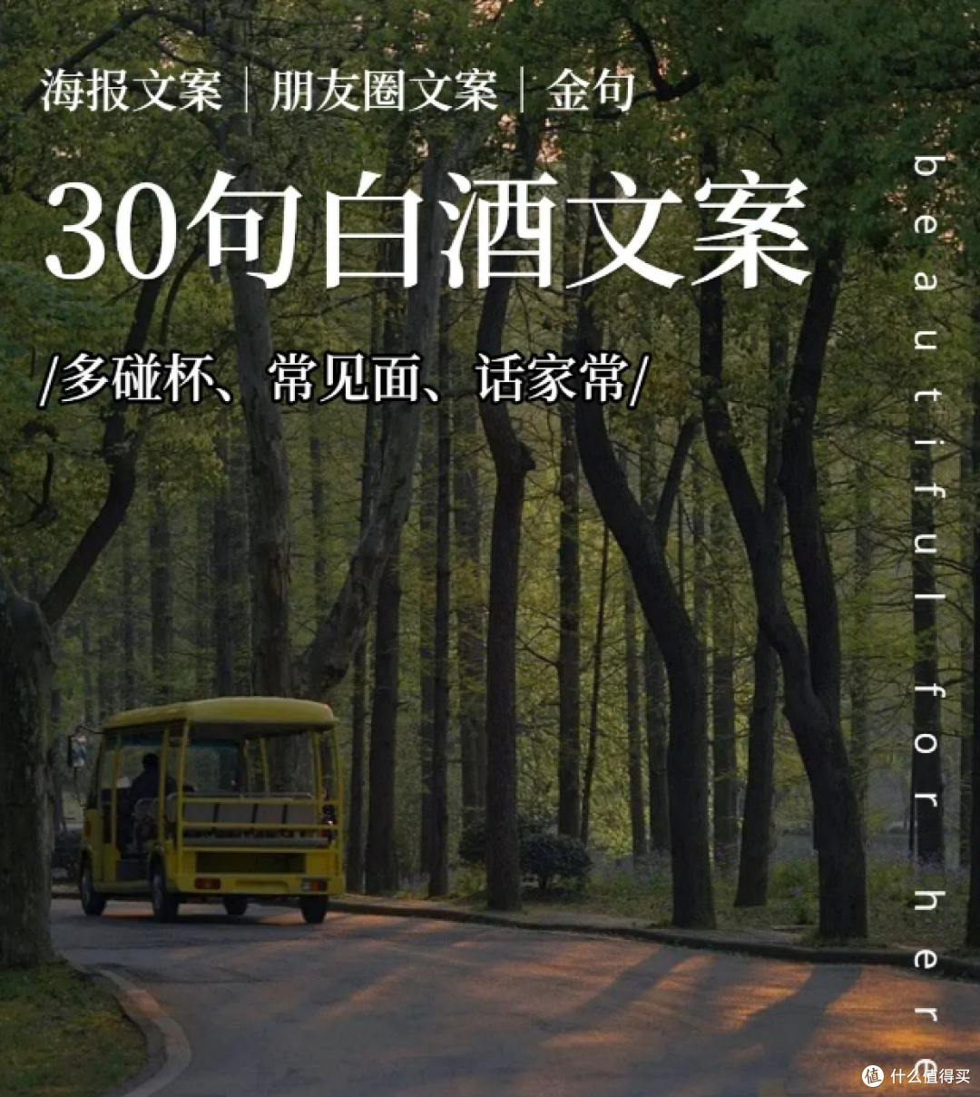 30句酒文案,句句醉人。