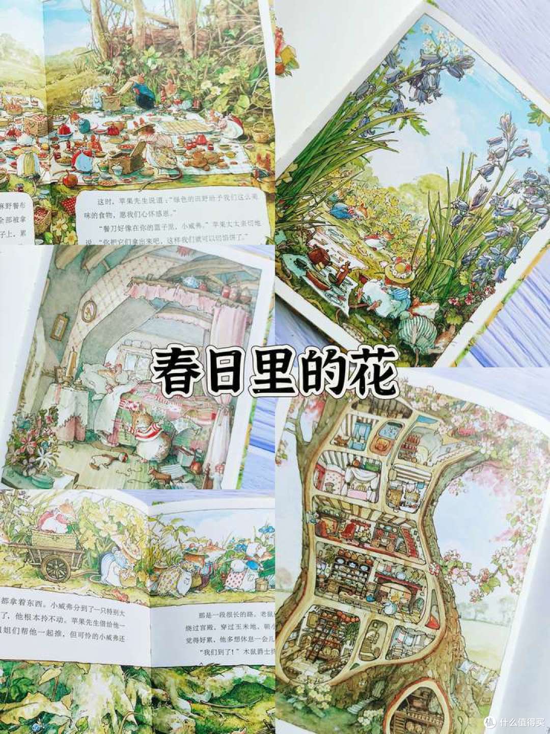 今天又是羡慕小老鼠们的一天!
