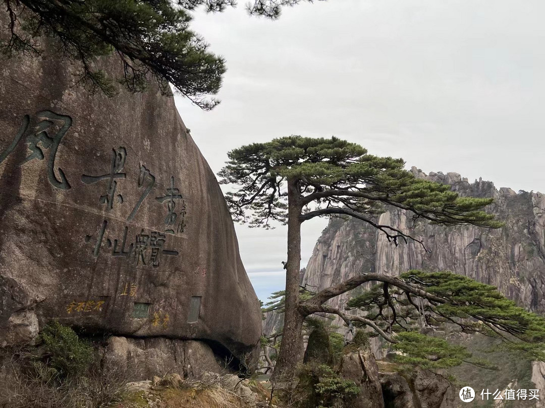 春季过敏：应对与呵护