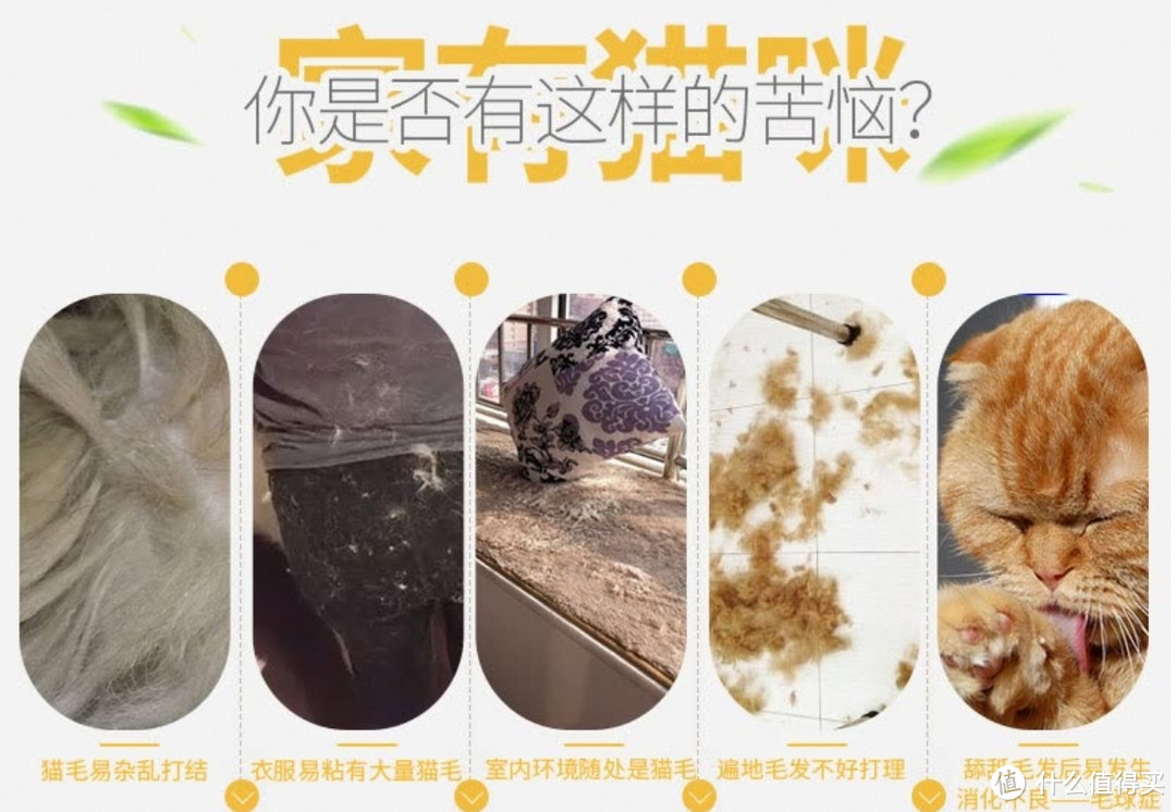 养猫必看！富美内特梳子，长毛猫护理神器！