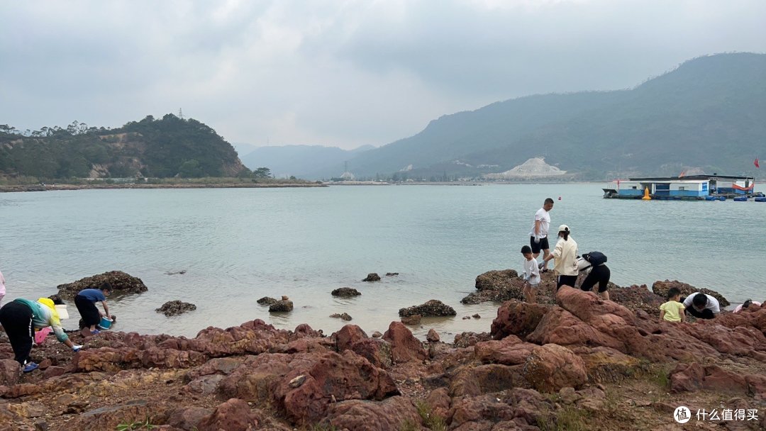 海岛上游客们在挖螃蟹🦀️