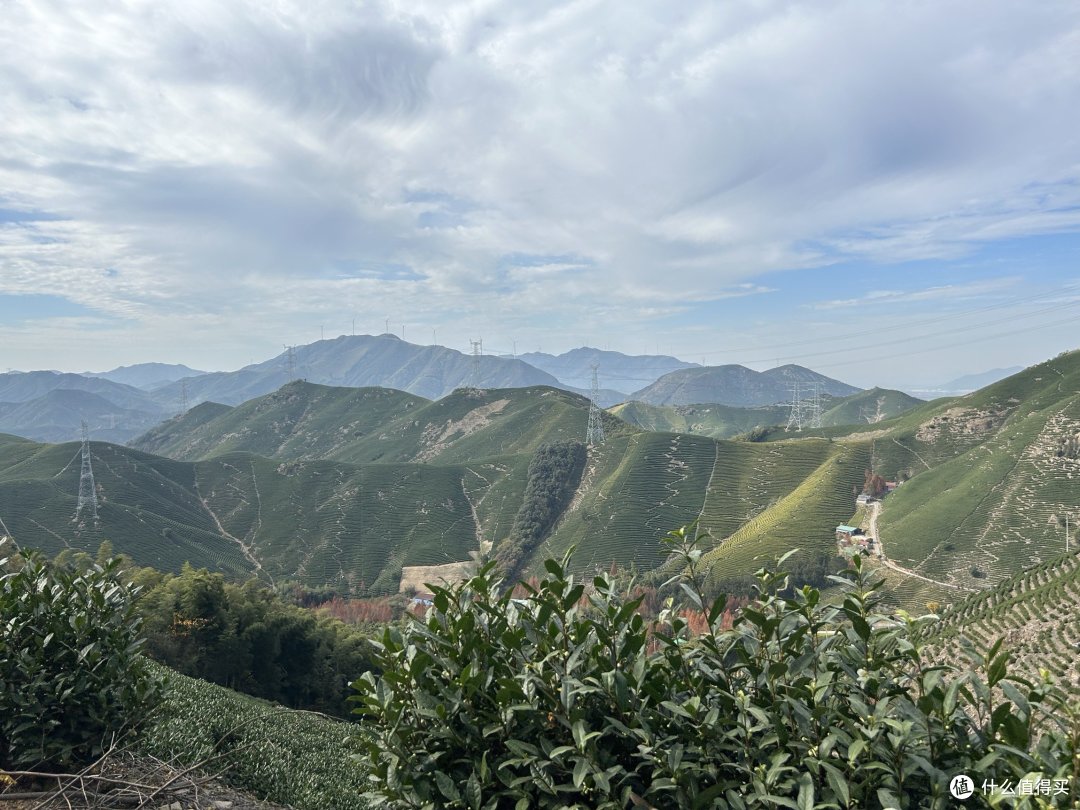 第一次见到茶山,在蓝天白云的衬托下感受春天的气息!