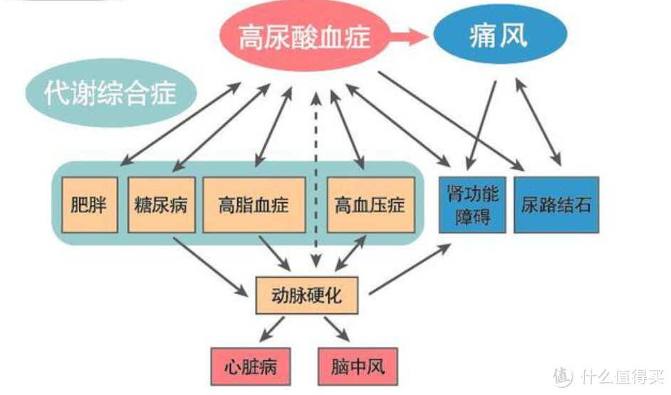 健康|痛风逐渐年轻化!尿酸监测用鱼跃GU200尿酸仪更安心!