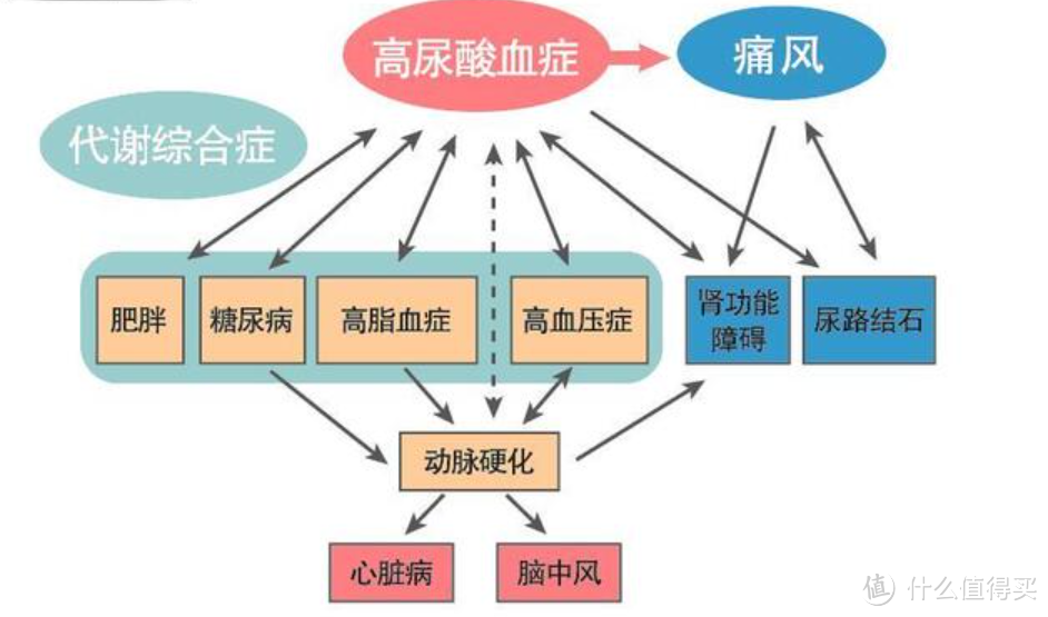 健康｜痛风逐渐年轻化！尿酸监测用鱼跃GU200尿酸仪更安心！