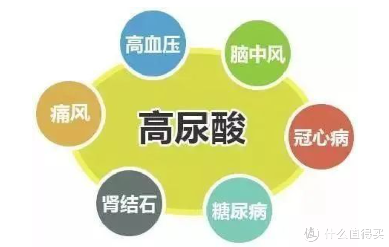 健康|痛风逐渐年轻化!尿酸监测用鱼跃GU200尿酸仪更安心!