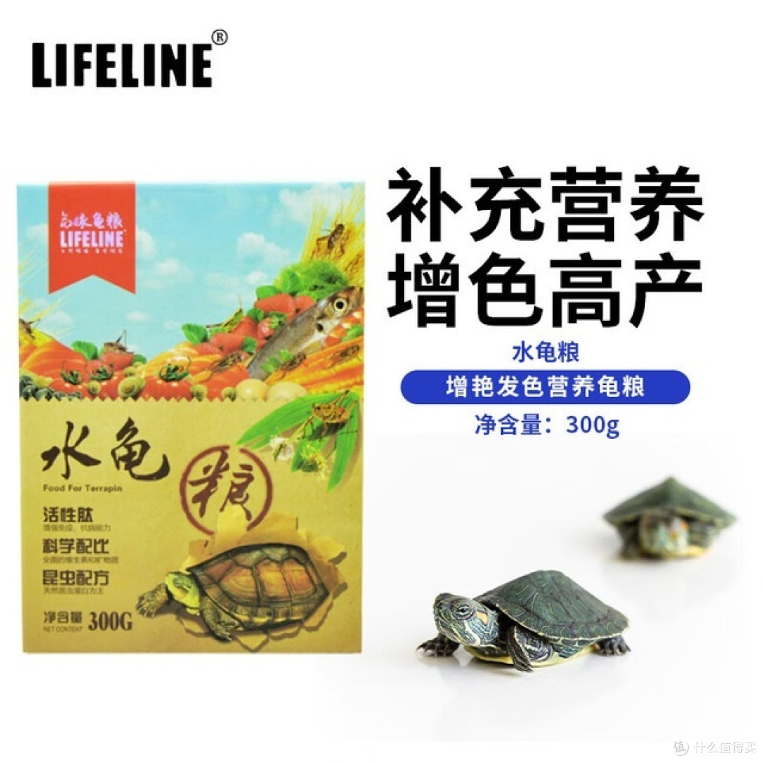 养龟新手必看!如何挑选优质龟粮?