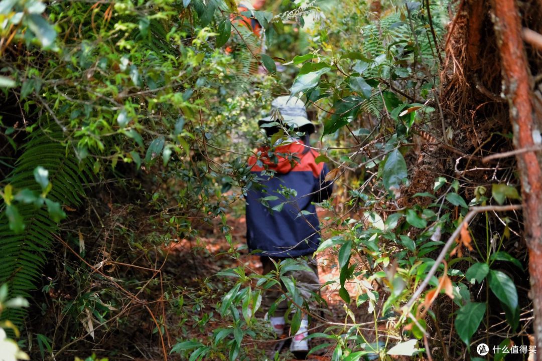 云南腾冲绝对是亲子游天花板~4天3夜超强攻略！直接抄作业！