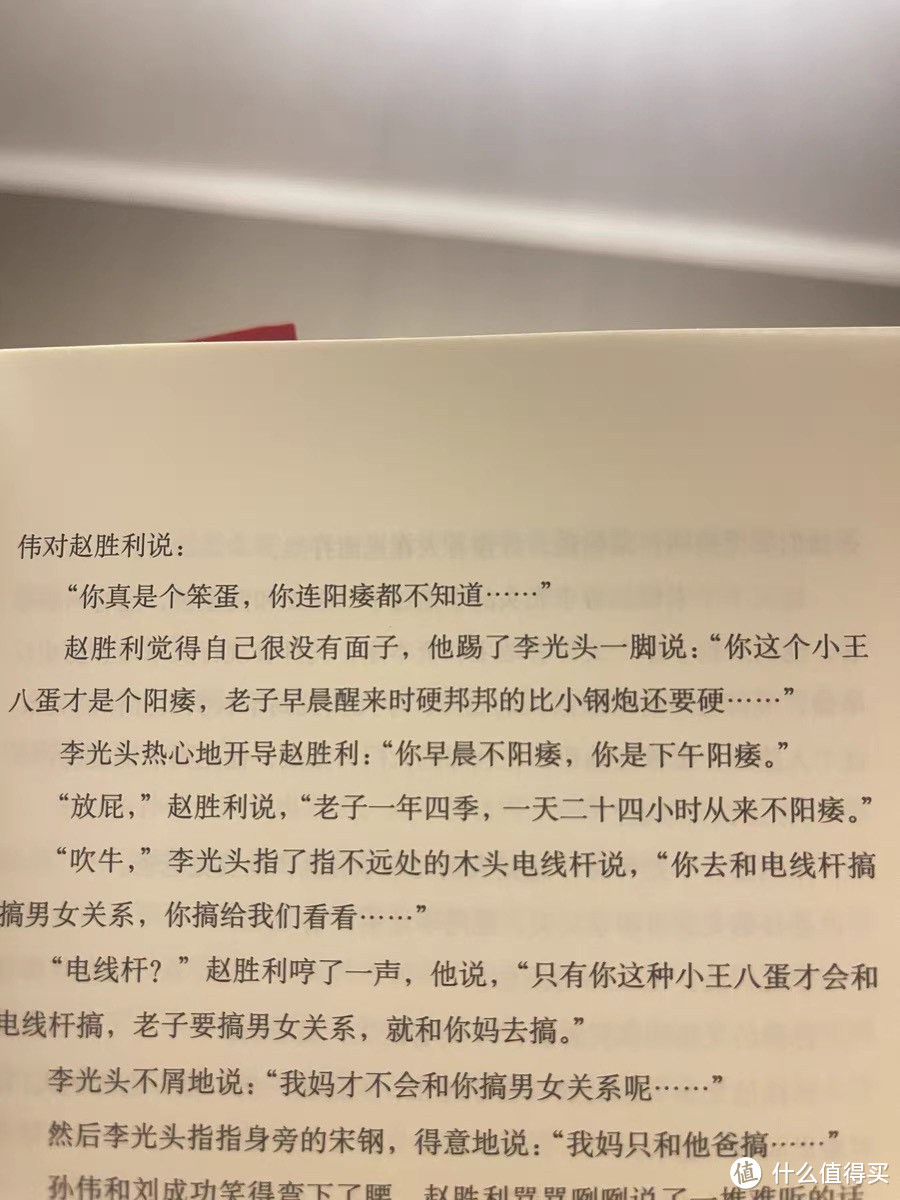 《兄弟》：一部描绘历史与人性的长篇小说