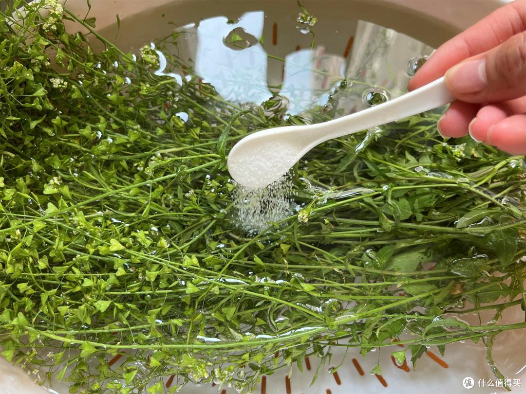 三月三上巳节!别忘用荠菜煮鸡蛋,“赛灵丹,病不沾”,好运整年