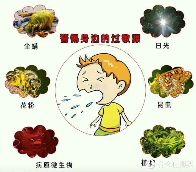 过敏性鼻炎的一些科普小知识