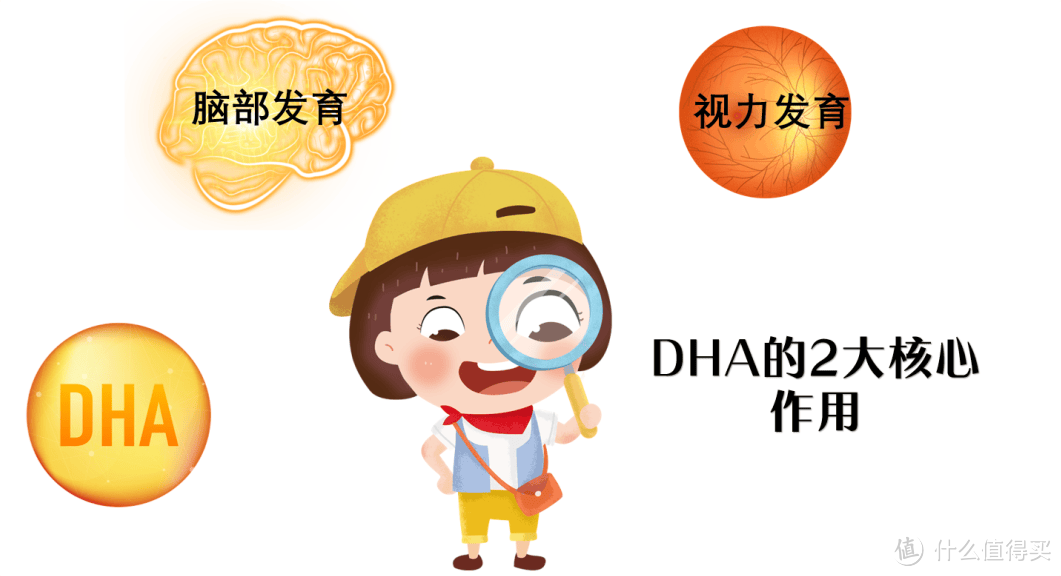 哪些人需要补DHA？怎么补？补多少？一文说清！