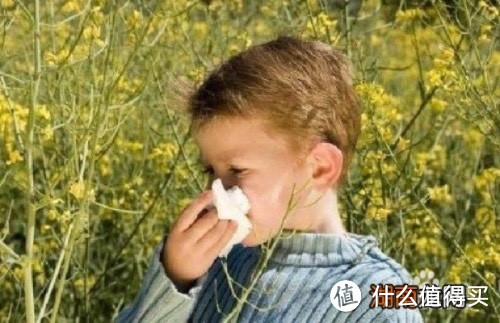 春季花粉过敏是什么原因？怎么办？