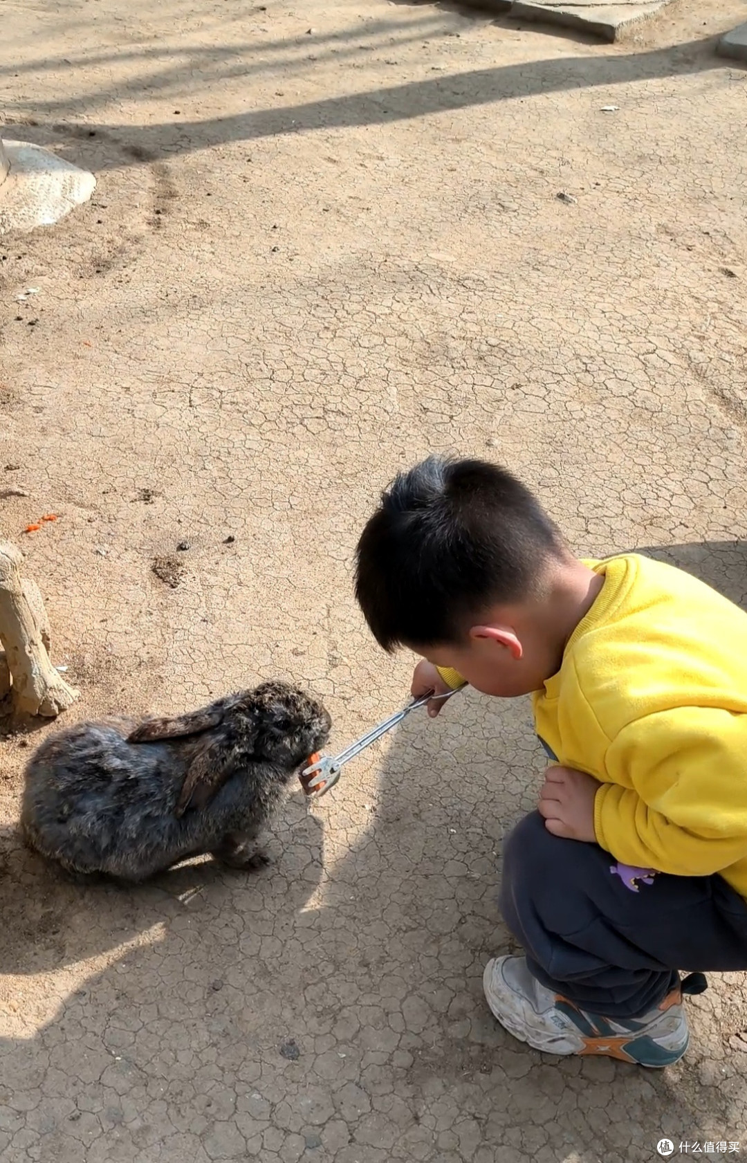 萌娃过春天，就是各种玩玩玩