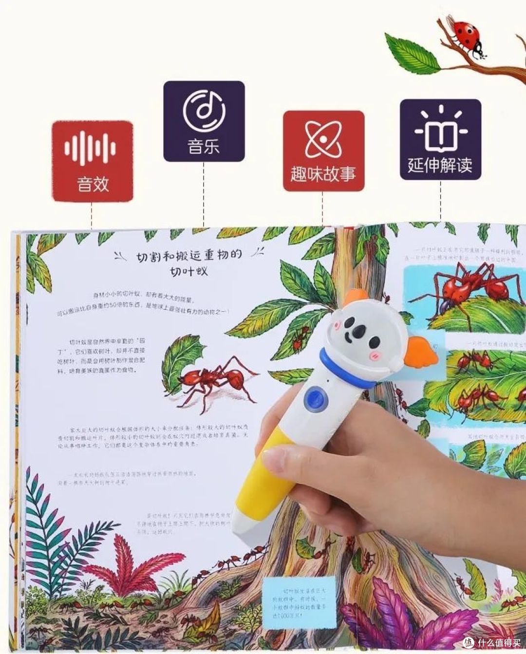 户外踏青,萌娃过春天少不了这两本书!一起认知自然涨知识~