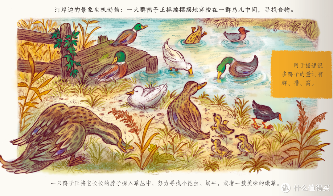 户外踏青,萌娃过春天少不了这两本书!一起认知自然涨知识~
