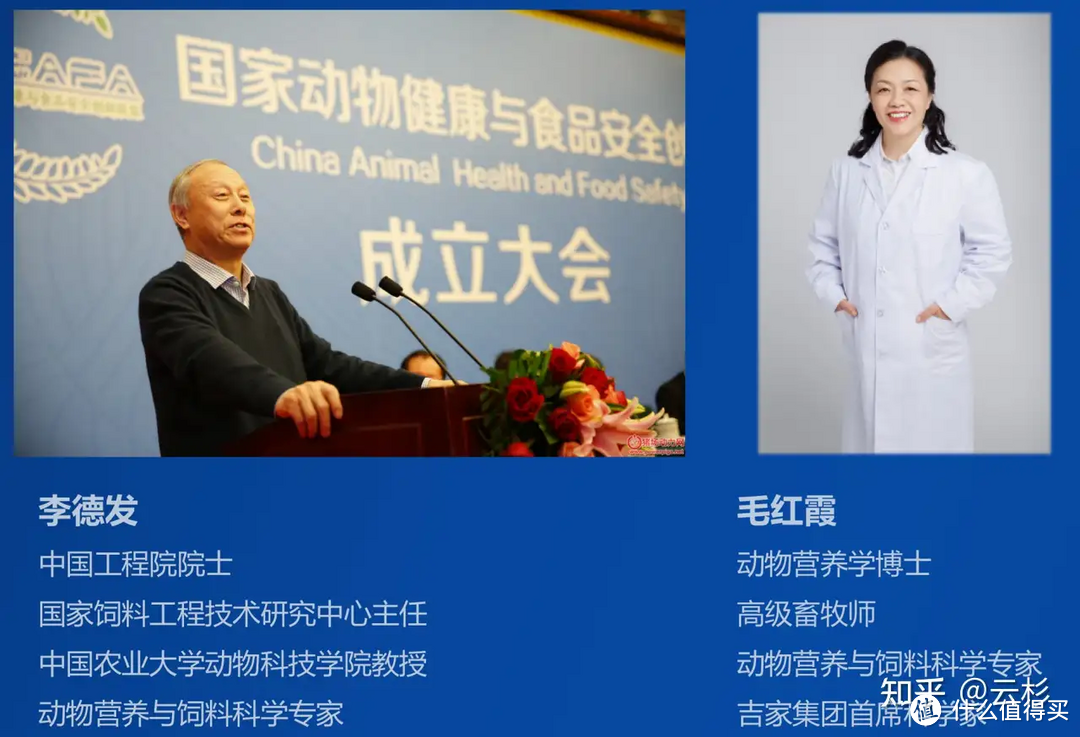 一篇文章搞清如何选购猫粮！国产vs进口，2024年铲屎官何去何从？简易猫粮选购指南