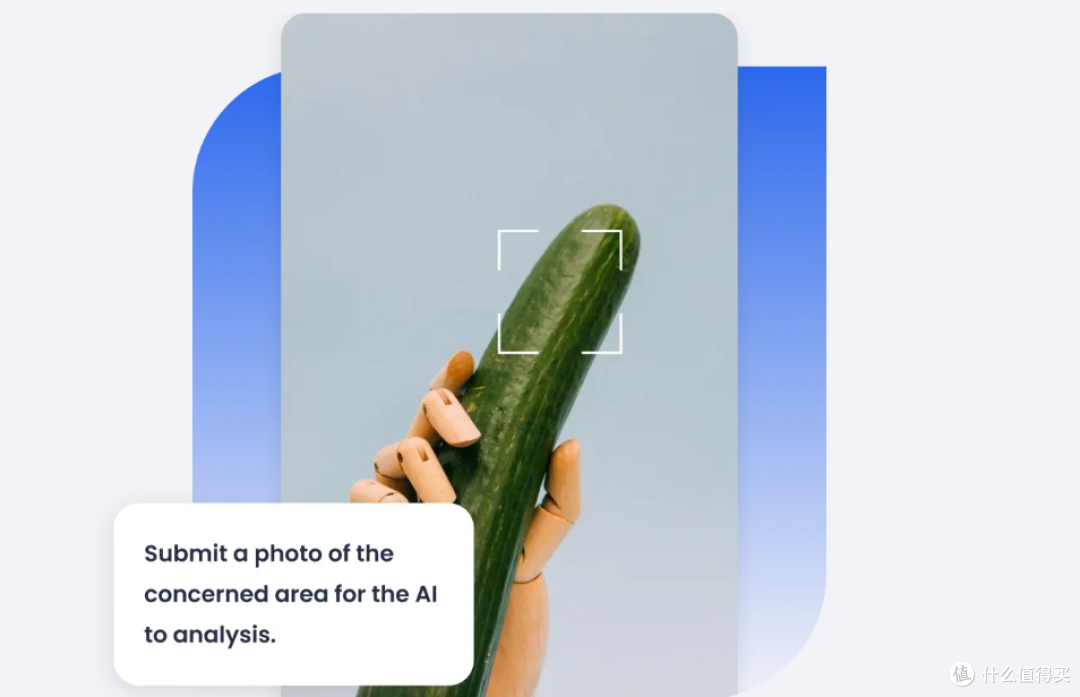 用ai检测丁丁健康官方急需各种特写照越多越好