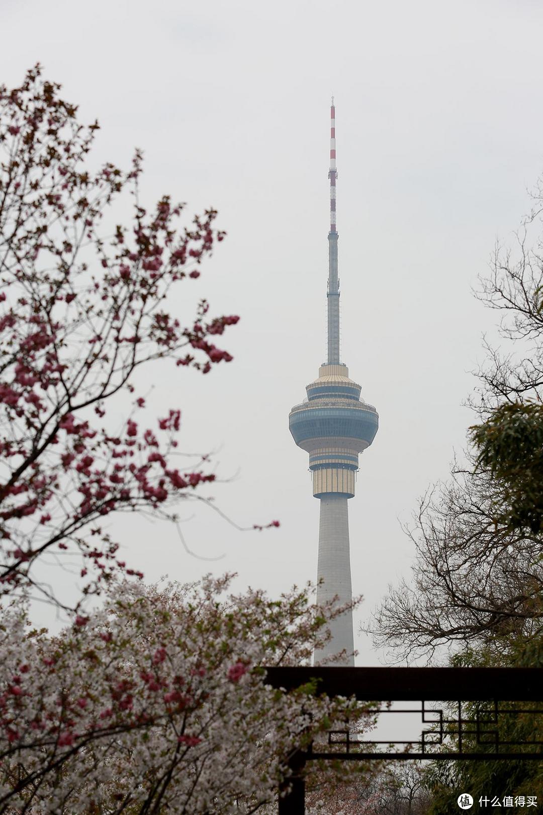 一镜走天下，北京春天追花期间三大公园的游玩体验汇总