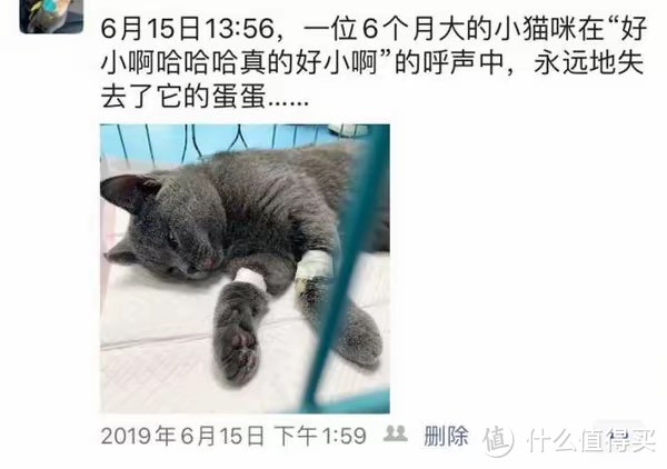 给猫绝育会被记仇吗？