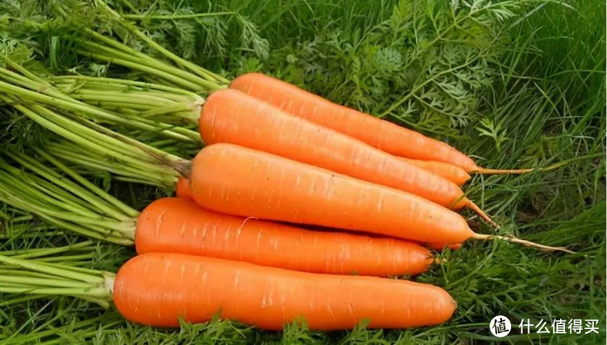 健康护眼的胡萝卜，多种美味吃法欢迎你！