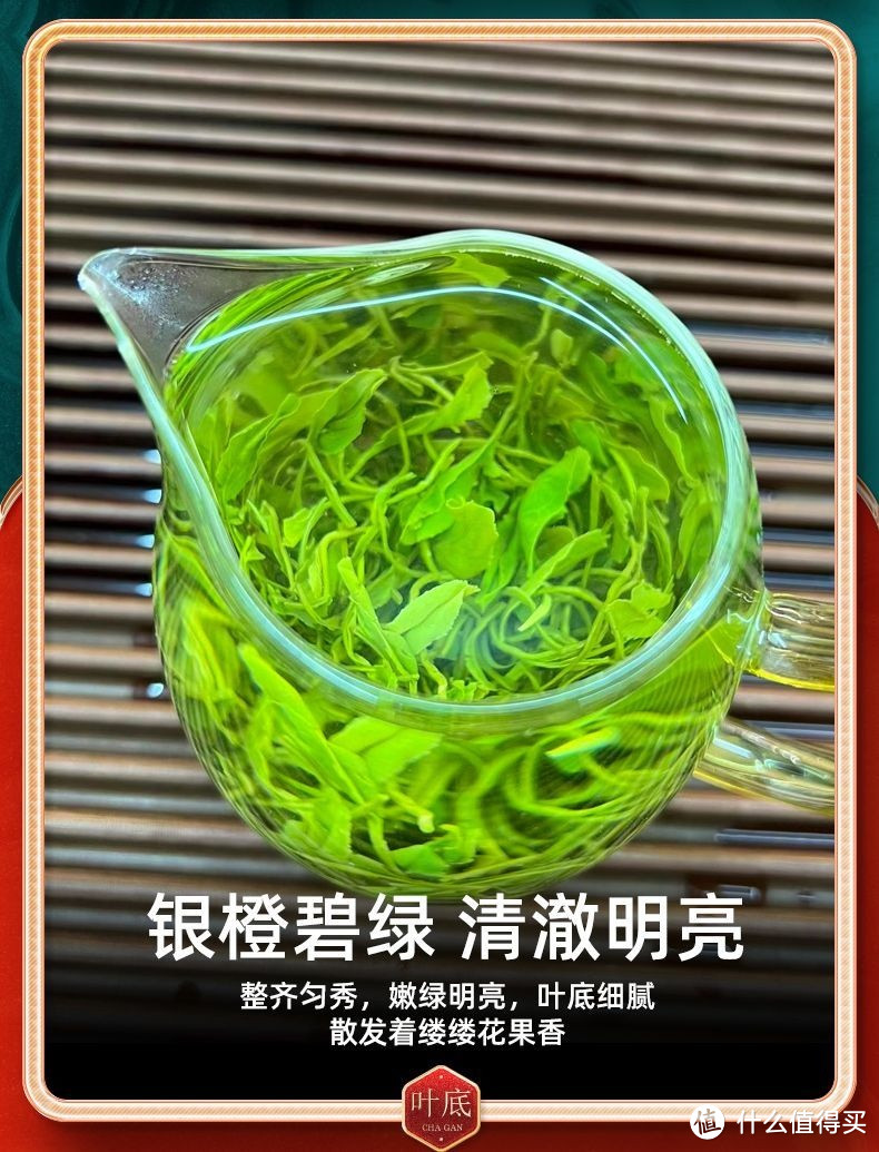 春日品新茶：茶叶鉴赏与品鉴技巧