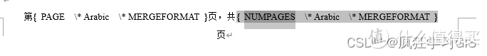 Word添加“第X页 共Y页”正文页码的方法