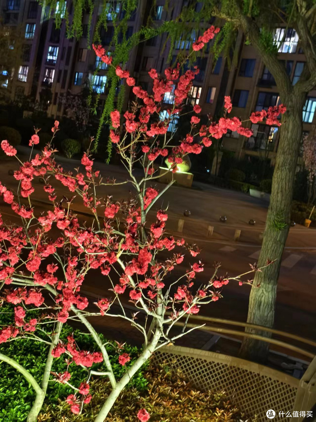 外出游玩（二）青岛旅行的交通攻略