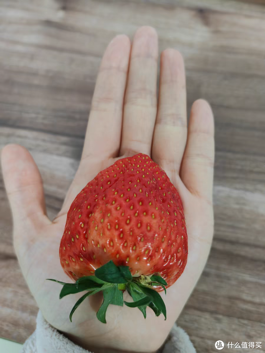 新鲜又美味的超级大草莓，春天不可错过的水果