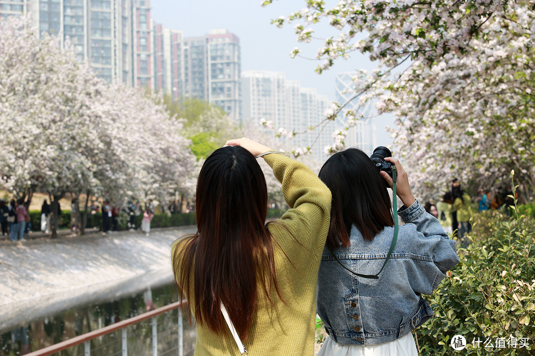 一镜走天下，海棠花溪在望京南地铁处赏花更美丽