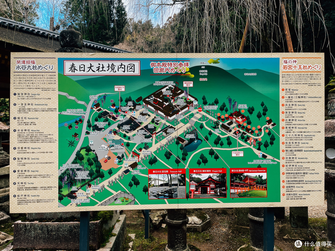 2024春节日本之行-DAY7-去奈良,把这辈子该见的鹿都喂一遍
