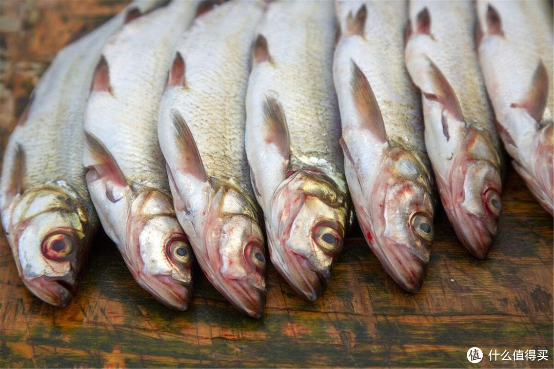 钓友评选“10大好吃”的淡水鱼，品种小众，网友：一大半都没吃过