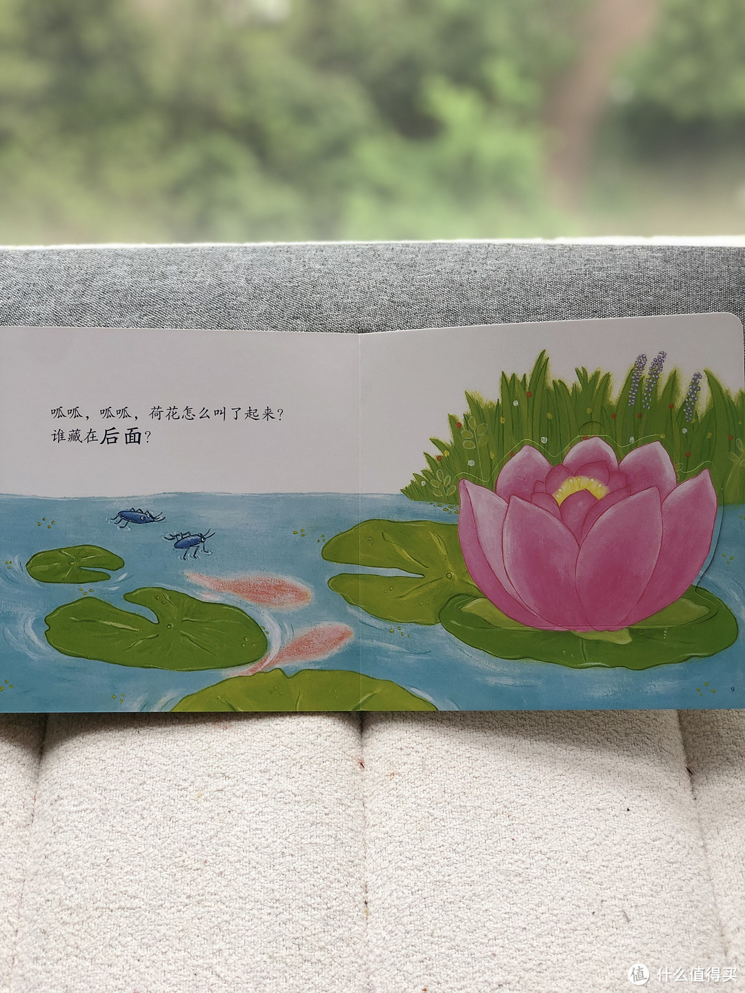 我一口气看了3遍!这套书很棒