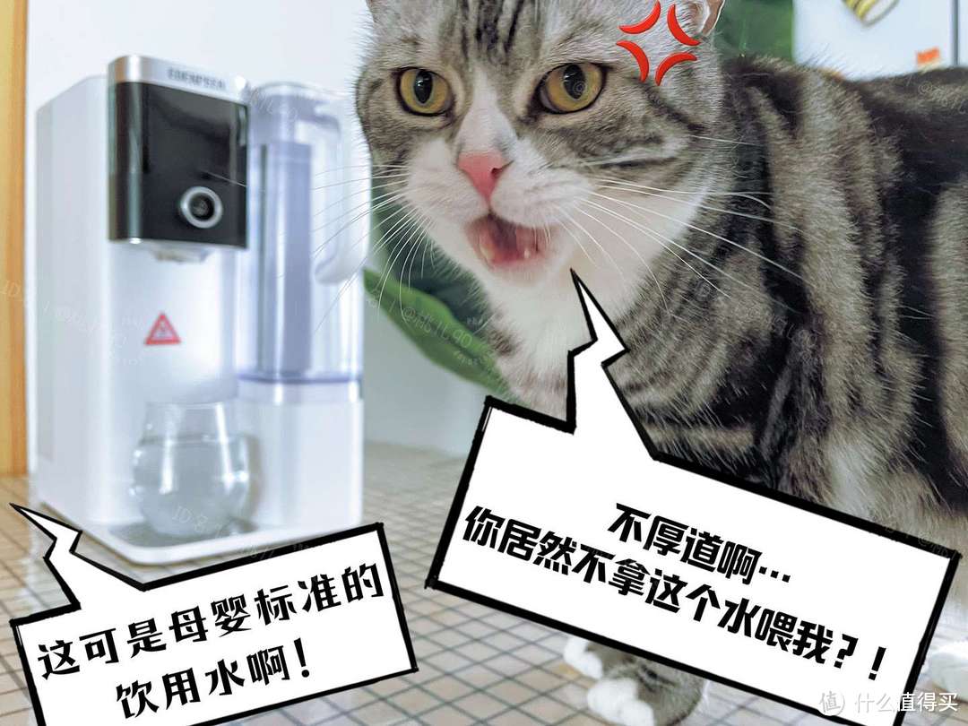 没有亏待猫咪，我家猫用的也是带滤芯的智能饮水机