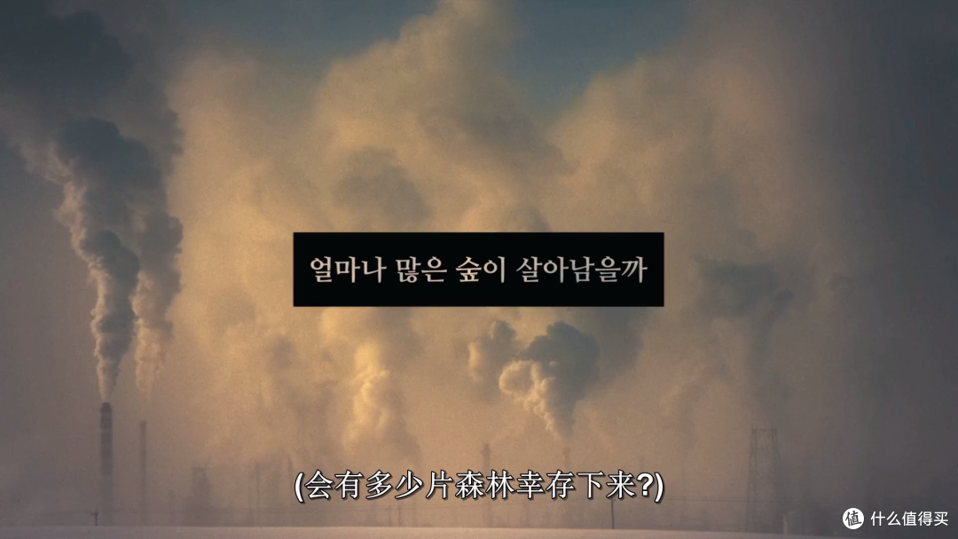 韩国史上最邪恶的导演，该剧开局就爽麻了，今年最好的电子榨菜上桌。