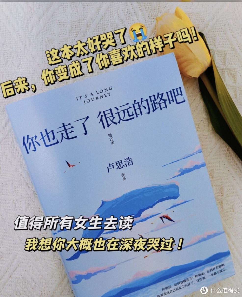 《你也走了很远的路吧》：治愈系书单推荐！