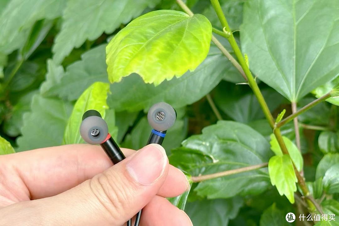 竹林鸟·百灵耳机评测：卓越工艺与高解析音质的完美融合