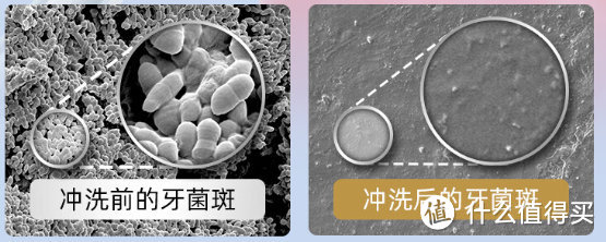 【主流冲牙器年度测评盘点】扉乐/松下/洁碧/素士/力博得等众多人气冲牙器测评