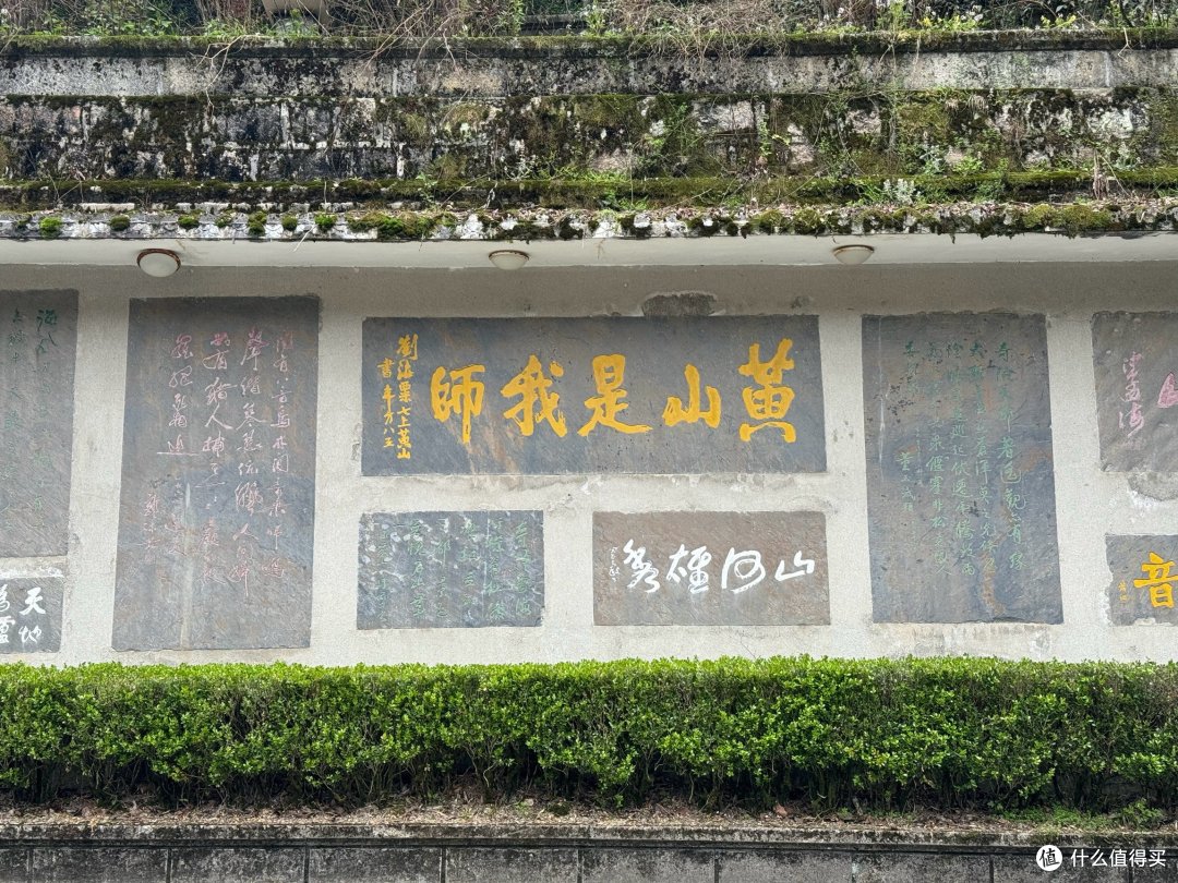 天都峰解封在即,勇士们还在犹豫什么,鲫鱼背上顺一顺,阿索阿索…