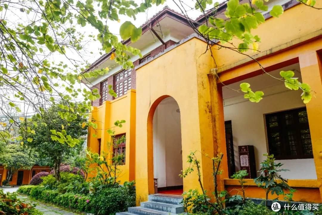 谁懂啊这座以美闻名的城市最大亮点竟然不是美景