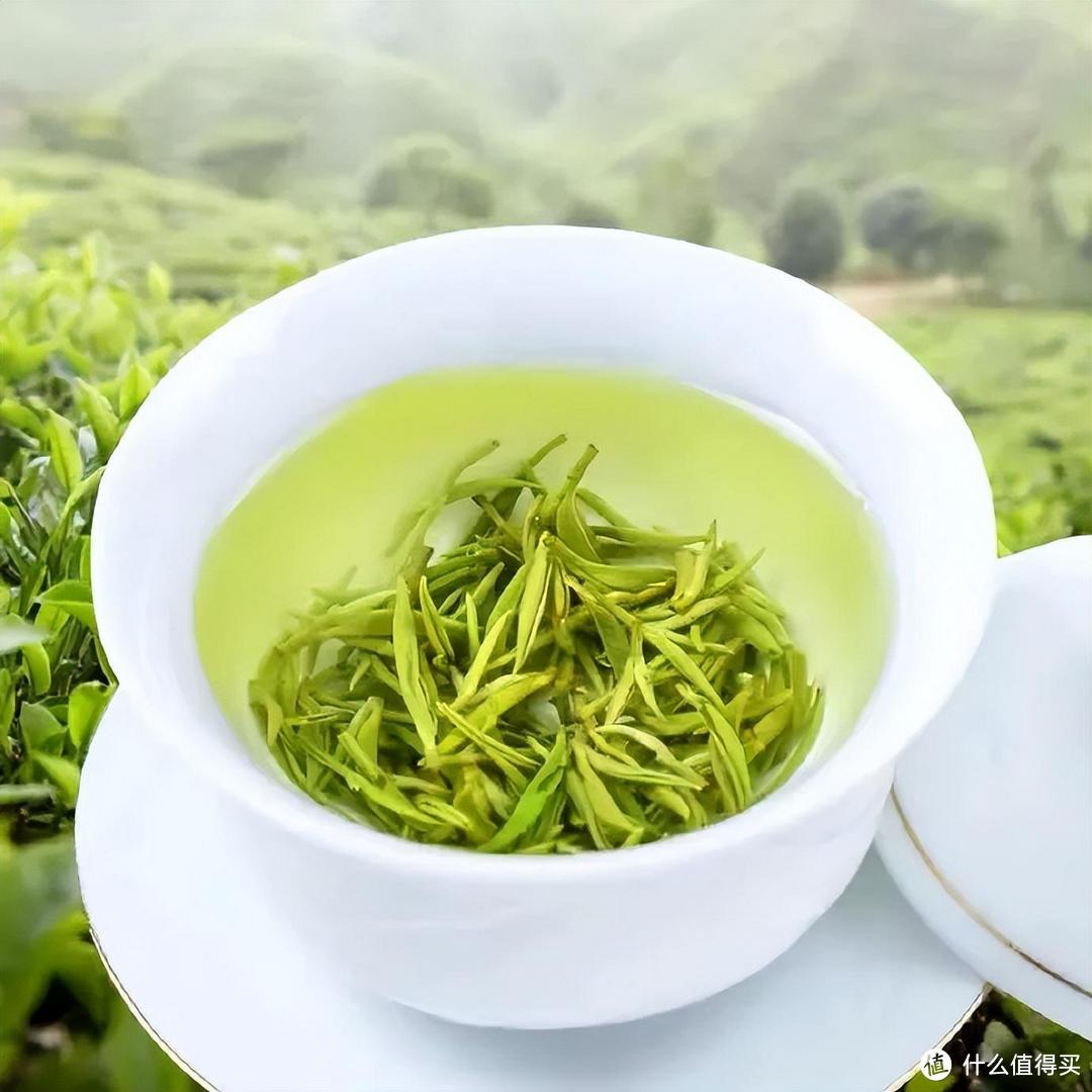 四川茶博会 川茶 | 早采的茶招人爱，早茶看宜宾